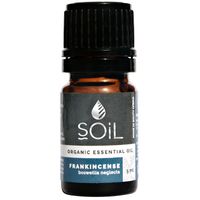 Soil Frankincense Essential Oil